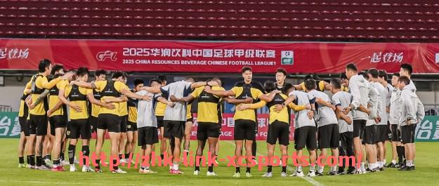 杏彩体育-佩德里谈论德甲球队风格：西甲中场眼中的德国足球