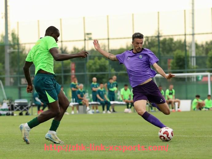 杏彩体育-世俱杯关键进球统计汇编：逆转与绝杀背后的破门