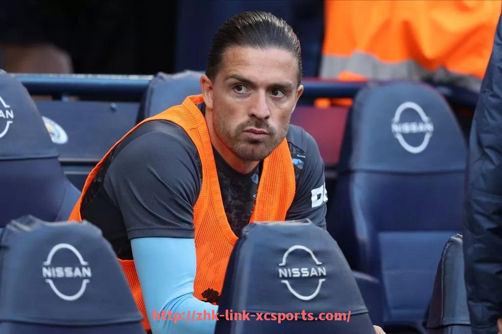 杏彩体育-世俱杯比赛现场安全保障措施执行与监管反馈分析